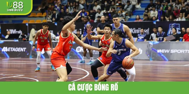 Cá Cược Bóng Rổ - Cơ Hội Kiếm Tiền Hấp Dẫn Với Đa Dạng Kèo
