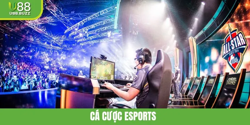 Trải Nghiệm Cá Cược Esports U88 Với Cơ Hội Chiến Thắng Lớn