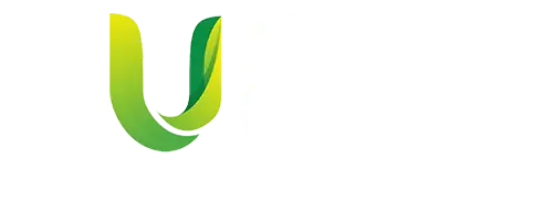 u88.buzz