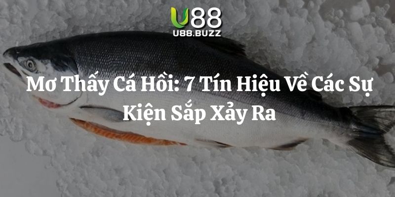 mơ thấy cá hồi u88 thumb