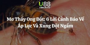 mơ thấy ong đốt u88 thumb