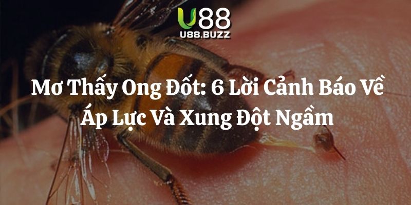 mơ thấy ong đốt u88 thumb