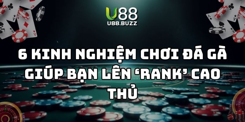 kinh nghiệm chơi đá gà u88 thumb