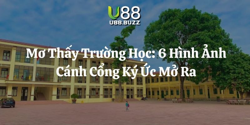 mơ thấy trường học u88 thumb
