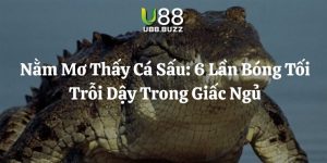 nằm mơ thấy cá sấu u88 thumb