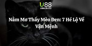 nằm mơ thấy mèo đen u88 thumb