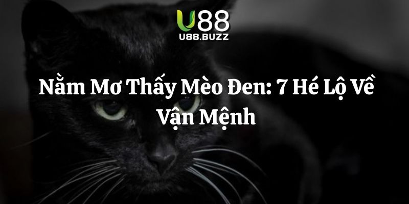 nằm mơ thấy mèo đen u88 thumb