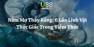 nằm mơ thấy rồng u88 thumb