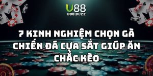 kinh nghiệm chọn gà chiến đá cựa sắt u88 thumb