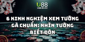 kinh nghiệm xem tướng gà u88 thumb