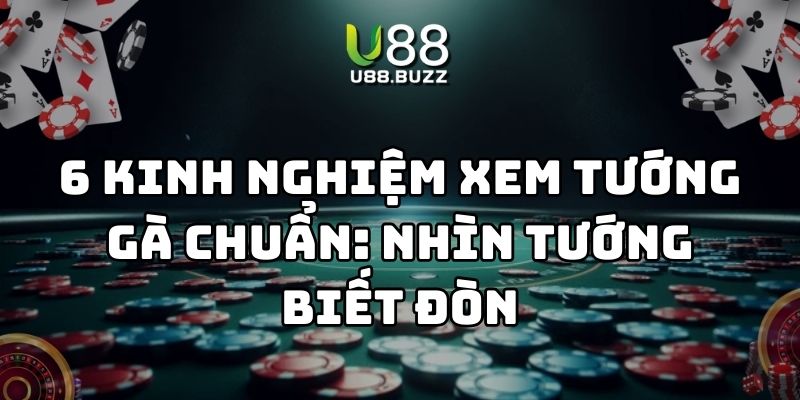 kinh nghiệm xem tướng gà u88 thumb