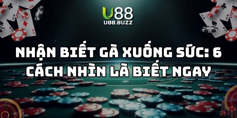 nhận biết gà xuống sức u88 thumb