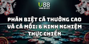phân biệt cá thưởng cao và cá mồi u88 thumb